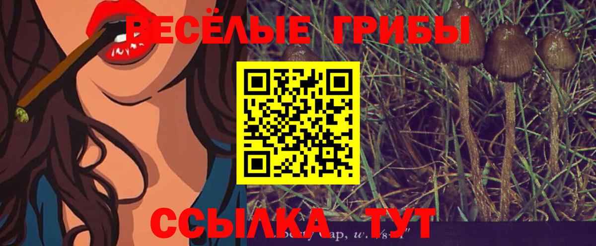 Псилоцибиновые грибы мухоморы  Вход с VPN  Ялта 